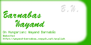 barnabas wayand business card