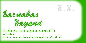 barnabas wayand business card